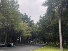 -南宁南湖公园