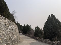 -府君山公园