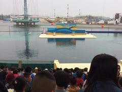 -秦皇岛乐岛海洋王国