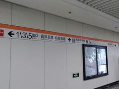 -杨高南路(地铁站)