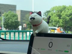 -销魂美蛙鱼头火锅(上海首店)