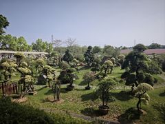 -盈香心动乐园