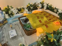 -伟伟宠物医院·CT影像中心·瑞派犬猫综合性门诊(汉口总院)