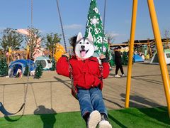 -季高兔窝窝亲子园(上海薰衣草公园店)