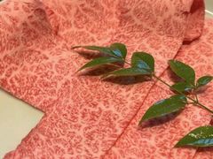 -然锅料理