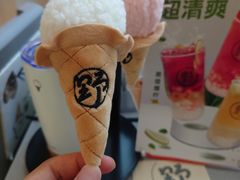 -野人先生现做冰淇淋(北京悠唐购物中心店)