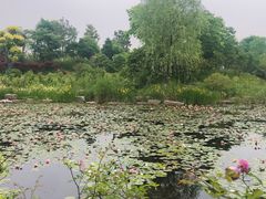 -嬉乐湾休闲旅游区
