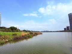 -华侨城湿地公园