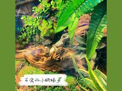 -大连圣亚海洋世界