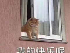 -南湖中华面馆(迈尧路店)