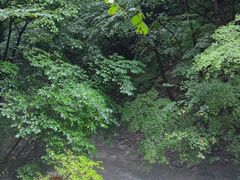 -本溪汤沟绿石谷森林公园