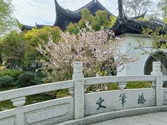 -红梅公园