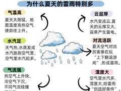 -古力古利托育早教中心(澳门路校区)