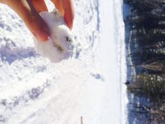 iphone_upload_pic-雪谷