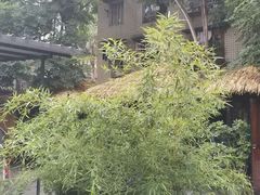-浮何烤铺(桐梓林店)