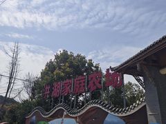 -洪湖家庭农场·团建·露营·会议