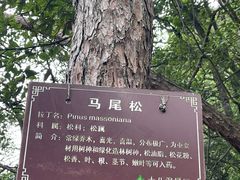 -磐安十八涡风景区