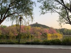 -禹州森林植物园