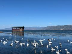 -大理洱海
