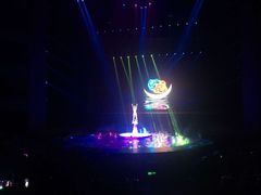 -水秀国际大剧院