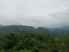 -南江大塘鱼庄