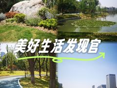 -后襄河公园