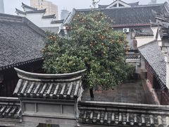 -陈生记黑鱼馆·20年活鱼现杀(宁波鼓楼店)