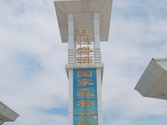 -日照海滨国家森林公园