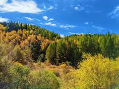 -塞罕坝国家级自然保护区