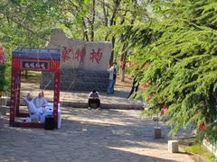 -抱犊寨风景区