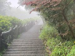 -梧桐山风景名胜区