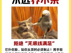 -爱侣宠医·鹦鹉专科·小型哺乳类·异宠专科(灵石路店)