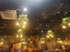 -小俩口烧烤东北菜(双井店)