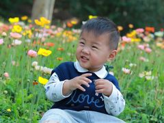 -云溪植物园