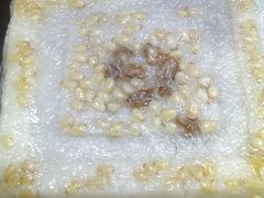 方糕-阿毛方糕(七宝镇步行街店)