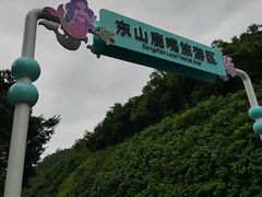 -杨梅坑