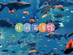 -长鹿旅游休博园