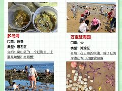 -巧克力渔家.小船海鲜胶东菜(万平口店)