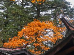 -峨眉山风景名胜区