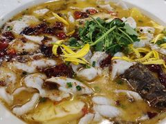 -花溪雨·森林餐厅(石基店)