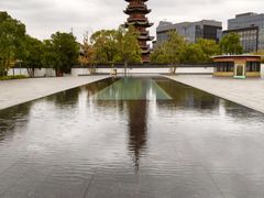 -龙华素斋(龙华路店)