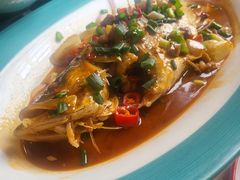 -陈厨老家菜馆(新苑店)