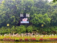 -广州长隆飞鸟乐园