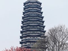 -红梅公园
