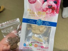 -逗柴咖啡屋·狗咖猫咖宠物桌游