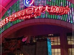 -灵玲国际马戏城