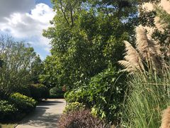 -上海崇明金茂凯悦酒店