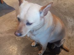 -Cactus墨西哥仙人掌餐厅