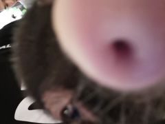 -浣熊柯尔鸭土拨鼠·电玩咖