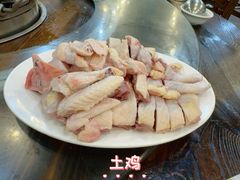 -南海鸽天下(肇庆店)